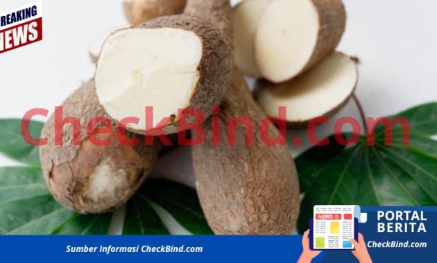 Pemerintah Bakal Batasi Impor
