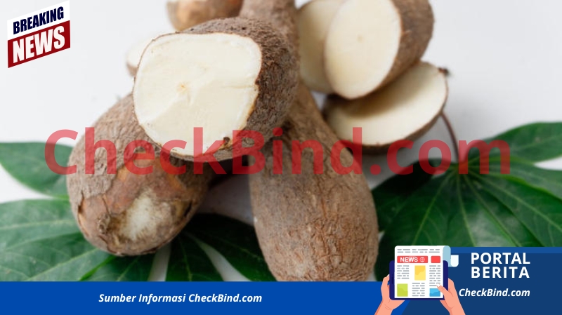 Pemerintah Bakal Batasi Impor
