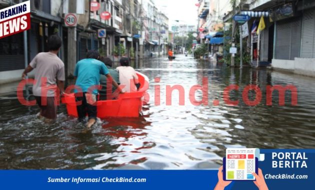 Checkbind.com (72)
