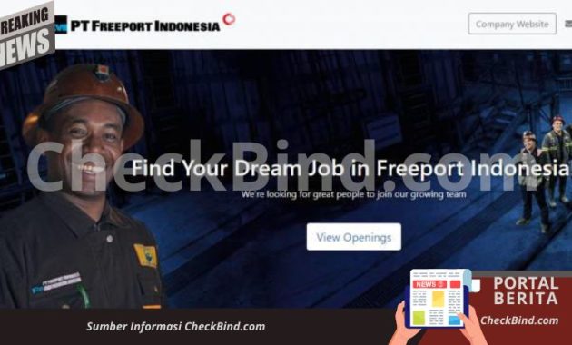 Lowongan Kerja PT Freeport Indonesia Penempatan Jakarta: Simak Kualifikasi dan Cara Daftarnya