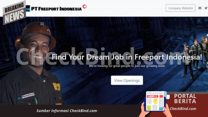 Lowongan Kerja PT Freeport Indonesia Penempatan Jakarta: Simak Kualifikasi dan Cara Daftarnya